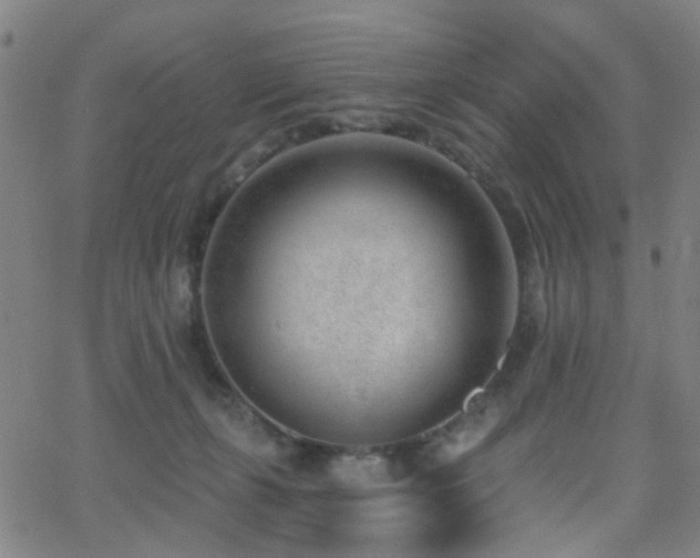 X0000062610271200512211144