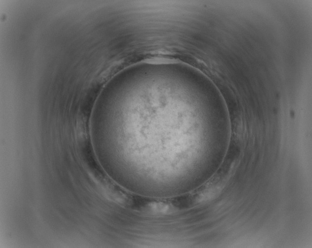 X0000062610272200512211145