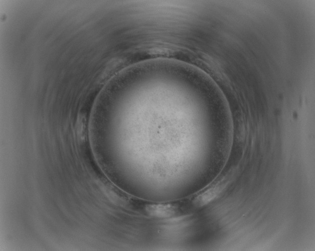 X0000062610273200512211145