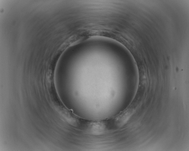 X0000062610275200512211145