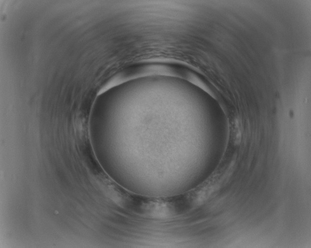 X0000062610276200512211145