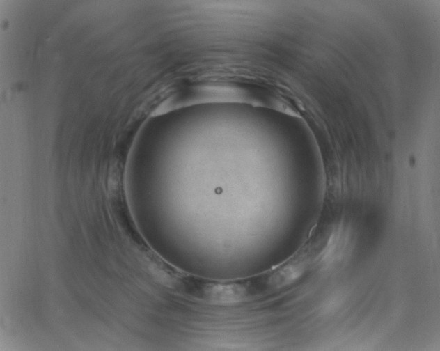 X0000062610277200512211145