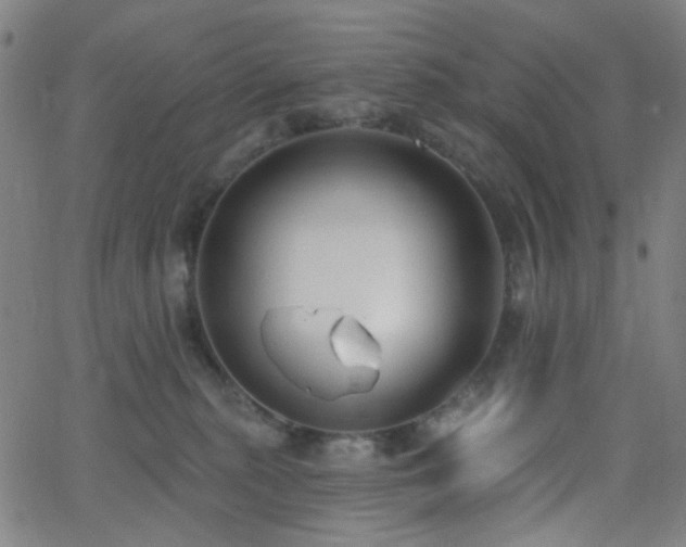 X0000062610279200512211145