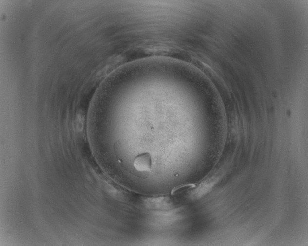 X0000062610281200512211145