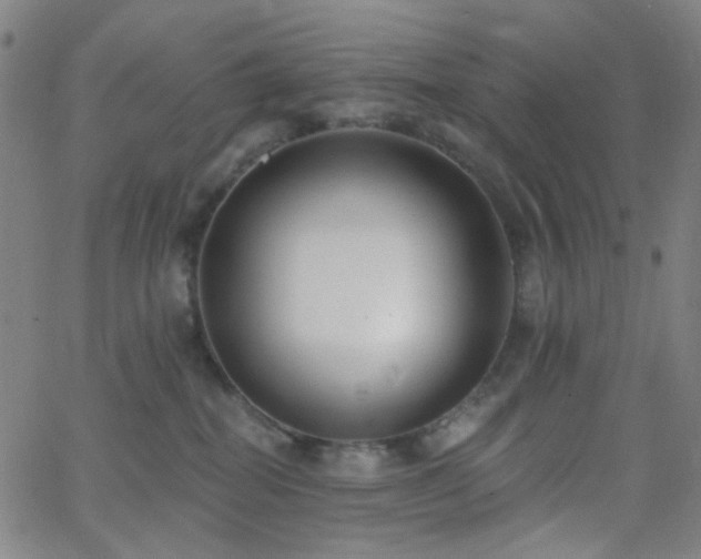 X0000062610282200512211145