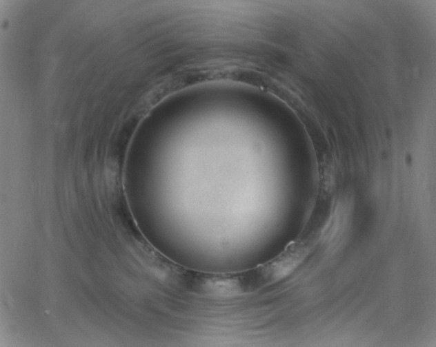 X0000062610283200512211145