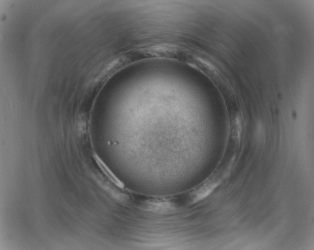 X0000062610284200512211145