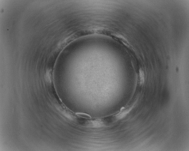 X0000062610286200512211145