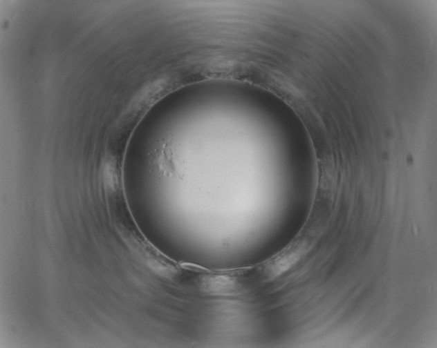 X0000062610287200512211145