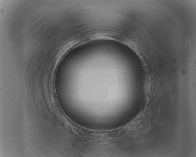 X0000062610289200512211144