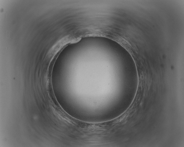 X0000062610290200512211144