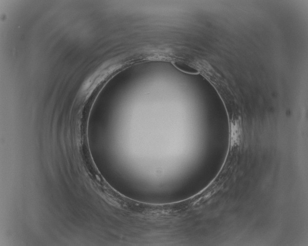 X0000062610291200512211144