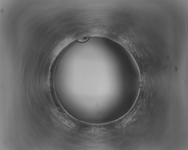 X0000062610292200512211144