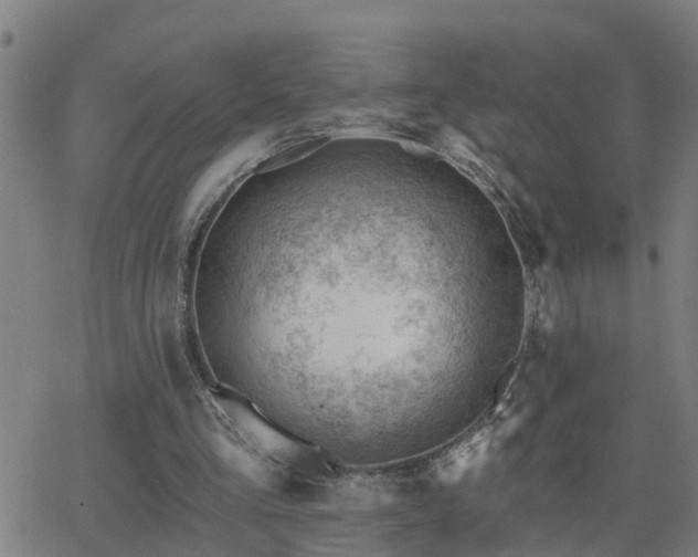 X0000062610293200512211144