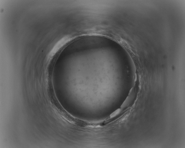 X0000062610295200512211144