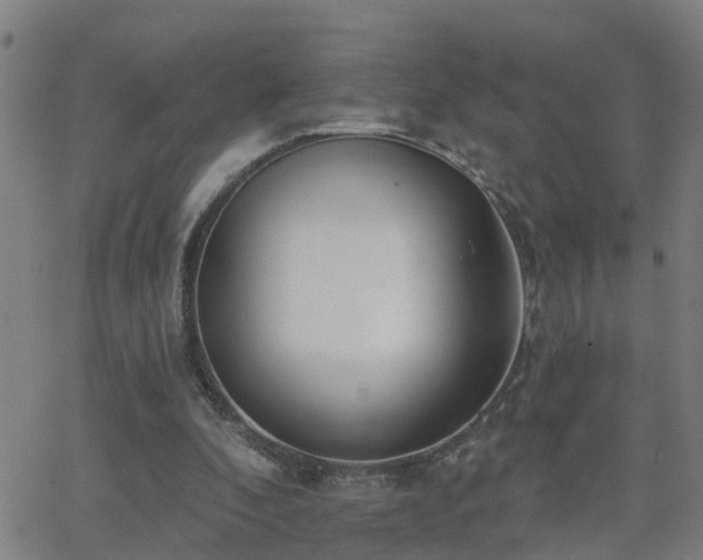 X0000062610296200512211144