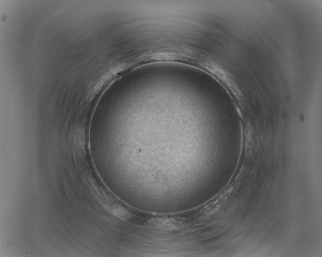 X0000062610297200512211144