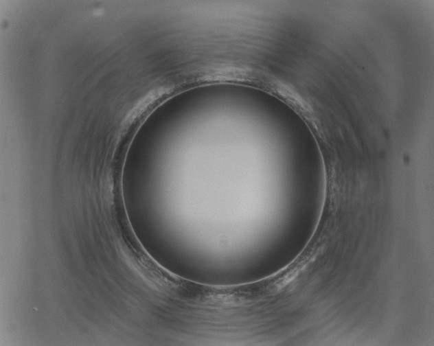 X0000062610298200512211144