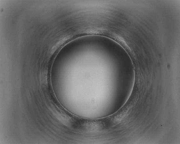 X0000062610299200512211144