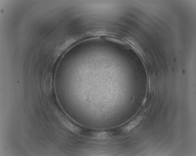 X0000062610301200512211144