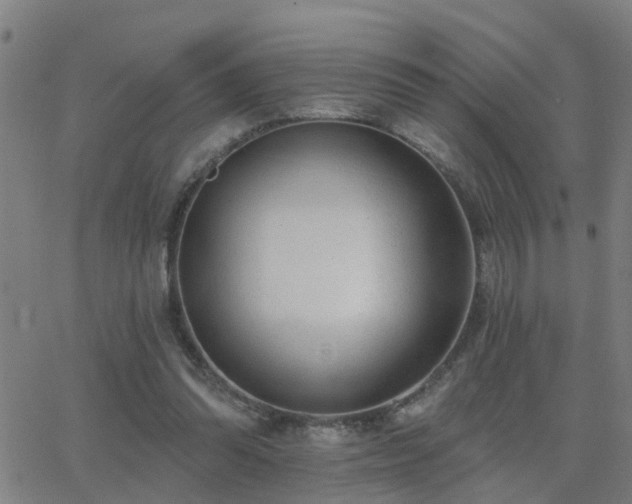 X0000062610302200512211144