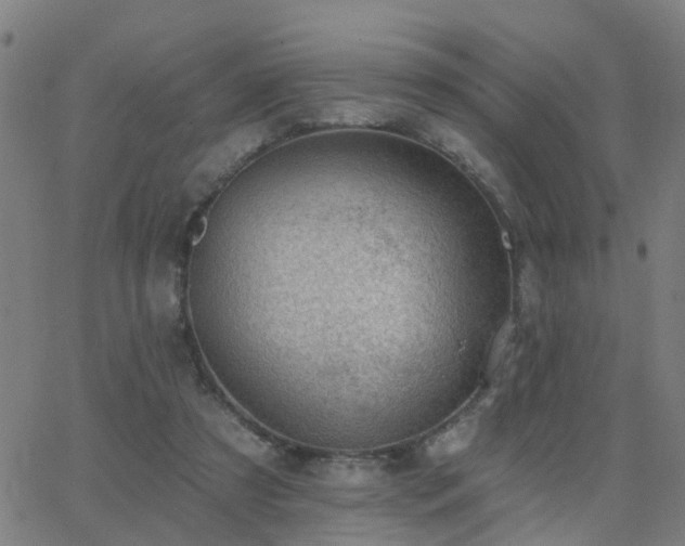 X0000062610305200512211144