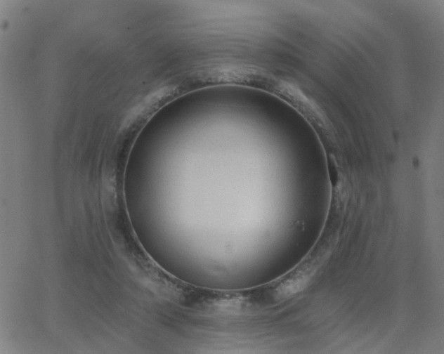 X0000062610306200512211144