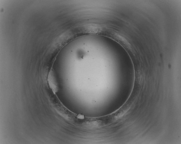 X0000062610307200512211144