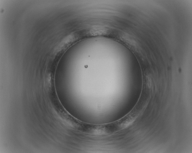 X0000062610308200512211144