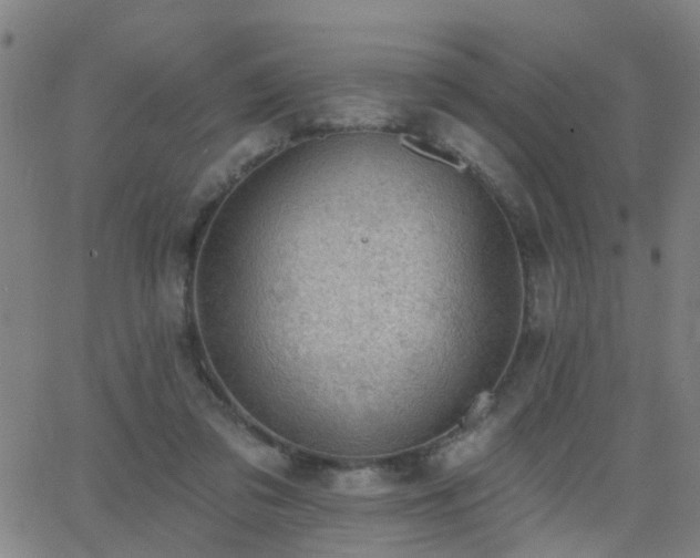 X0000062610309200512211144