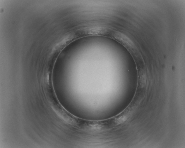 X0000062610310200512211144