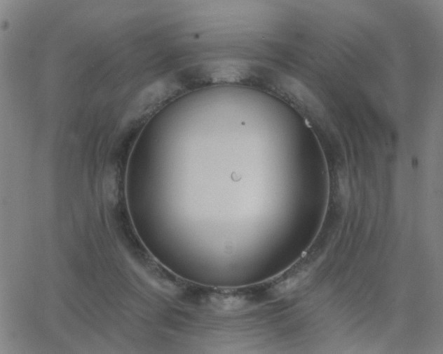 X0000062610311200512211144