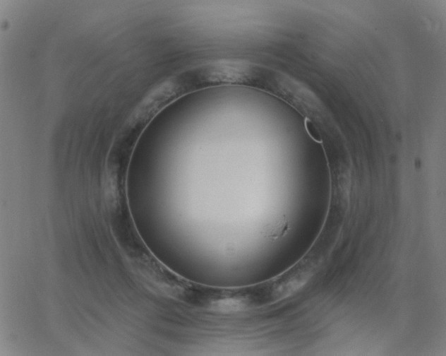 X0000062610312200512211144