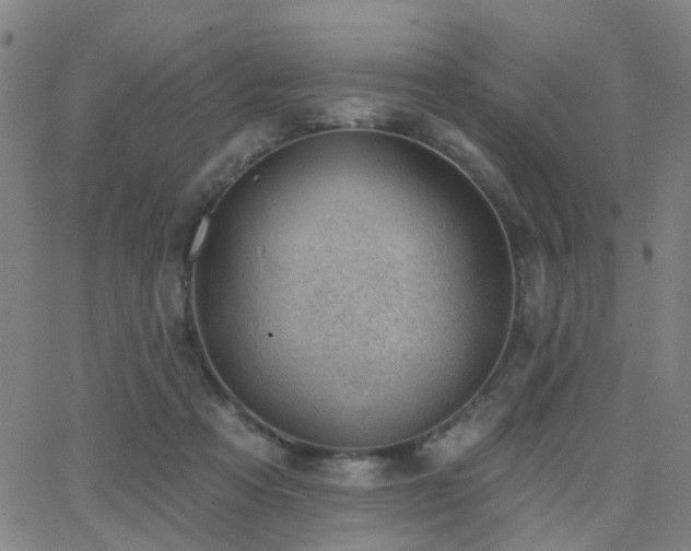 X0000062610313200512211144