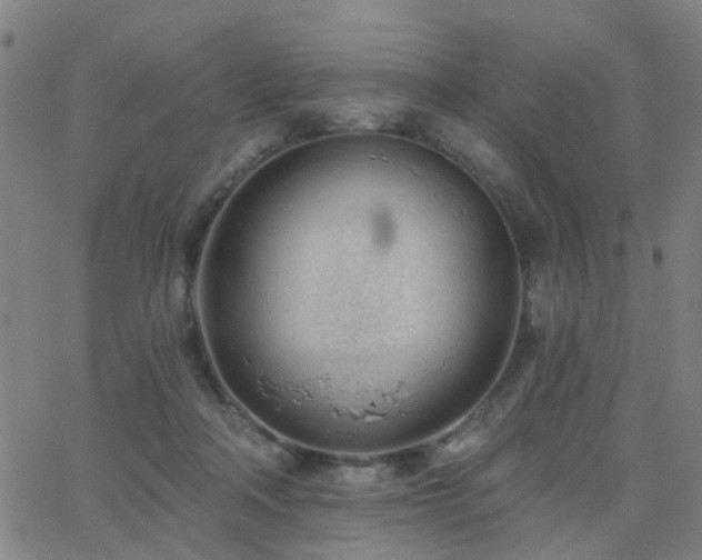 X0000062610314200512211144