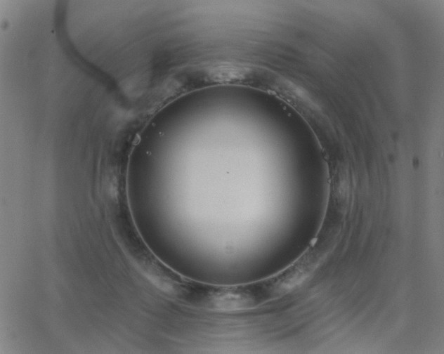 X0000062610315200512211144