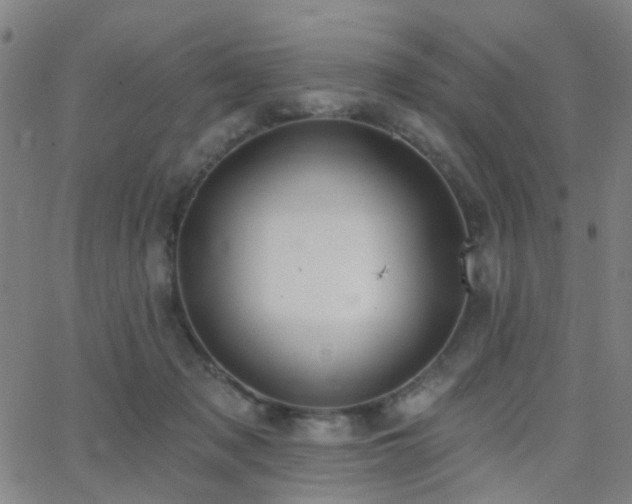 X0000062610317200512211144