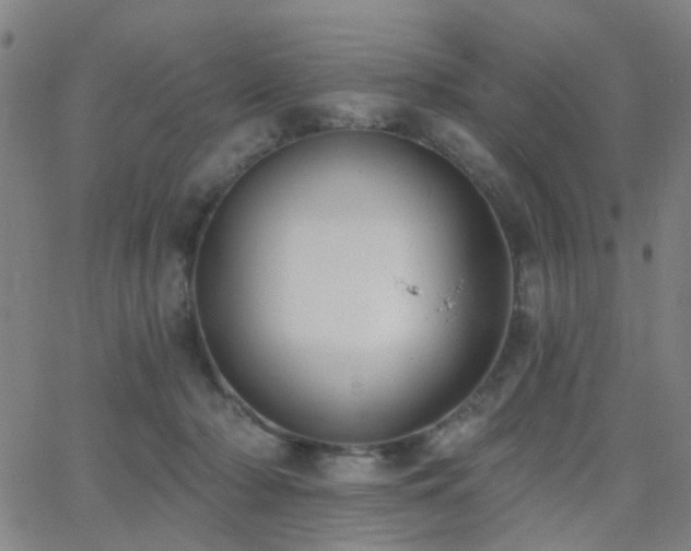 X0000062610318200512211143