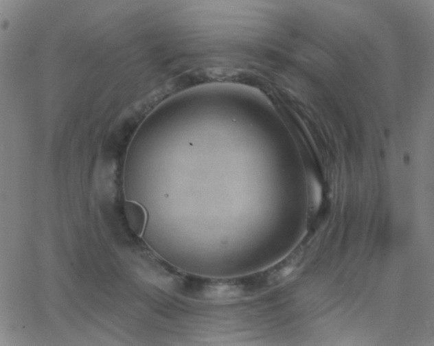 X0000062610319200512211143