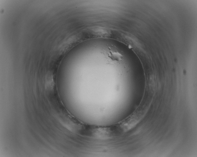 X0000062610320200512211143