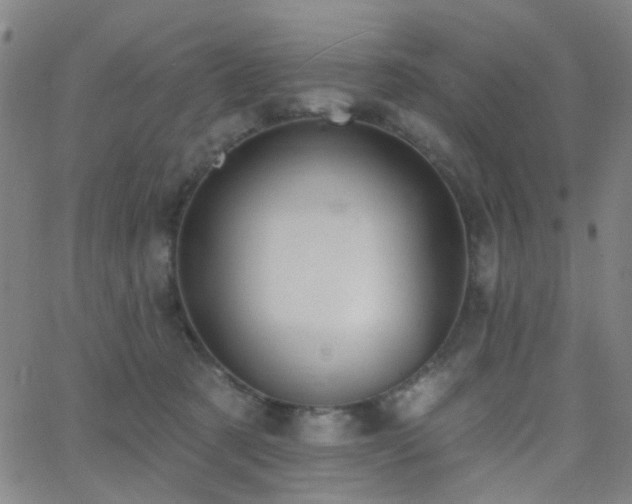 X0000062610321200512211143