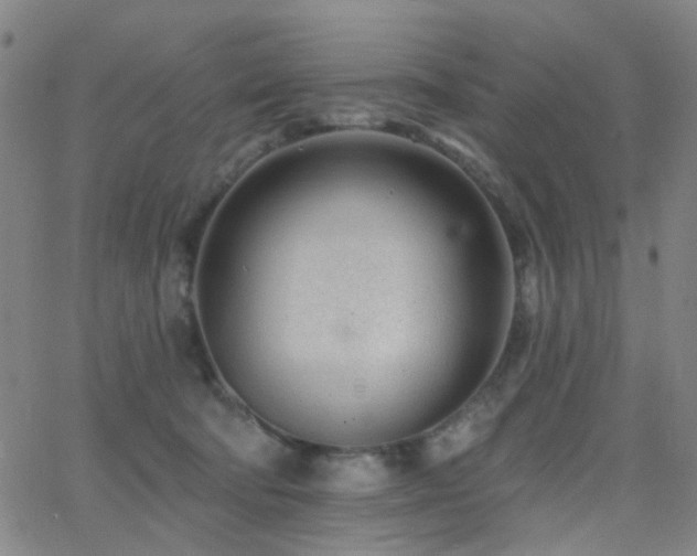 X0000062610322200512211143