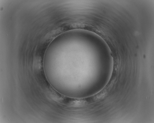 X0000062610323200512211143