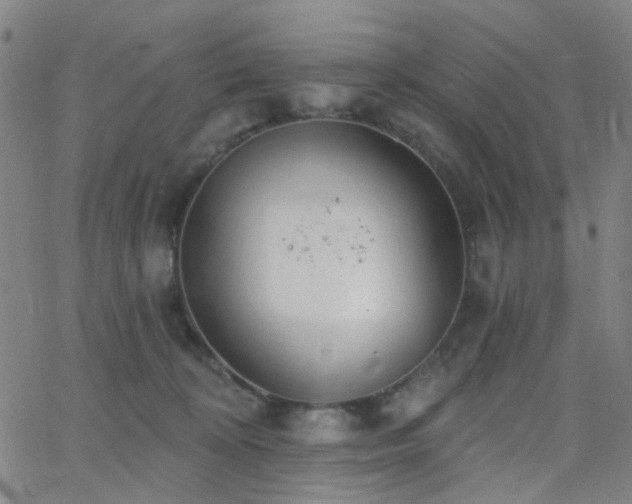 X0000062610324200512211143