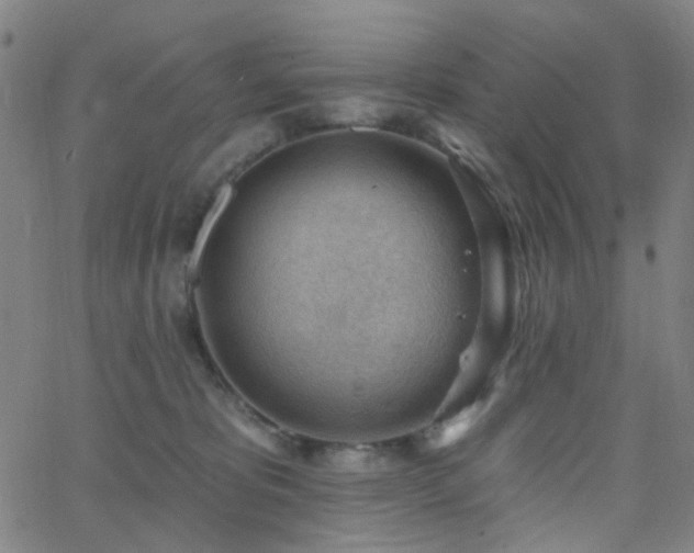 X0000062610325200512211143