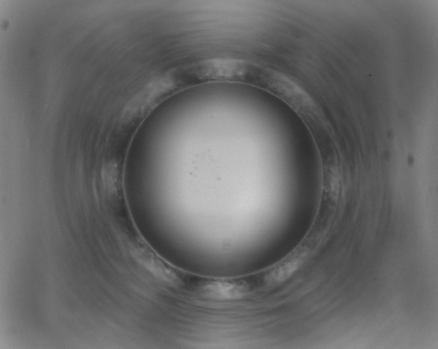 X0000062610326200512211143