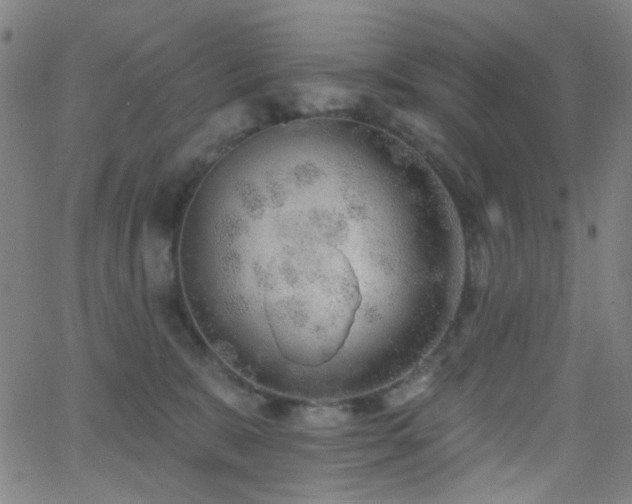 X0000062610327200512211143