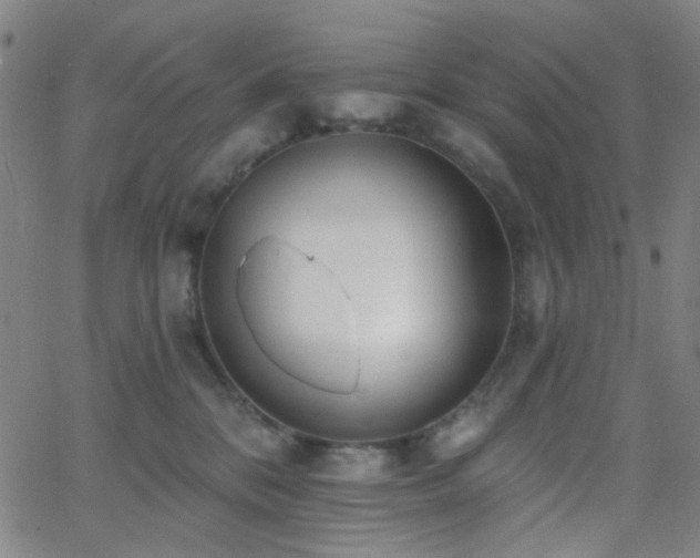 X0000062610328200512211143