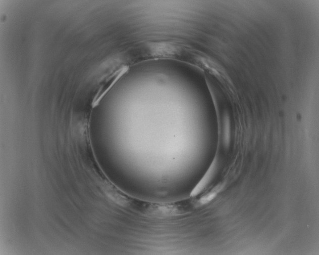 X0000062610329200512211143