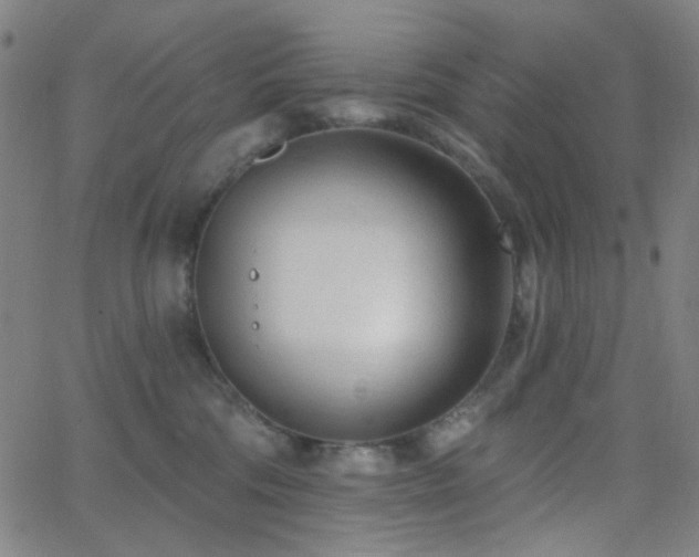 X0000062610330200512211143